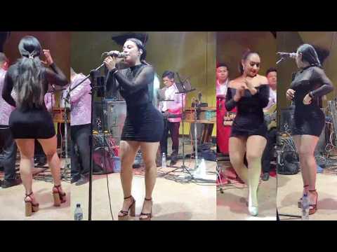 Nicho Y Sus Cachorros - En Ciudad Vieja Sacatepéquez 18 De Abril 2026