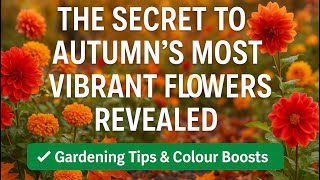 🎥 ✅ 🌼 The Secret to Autumn’s Most Vibrant Flowers Revealed 🍂 | Gardening Tips & Colour Boosts 🎧