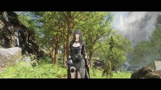 SkyrimSE CS test