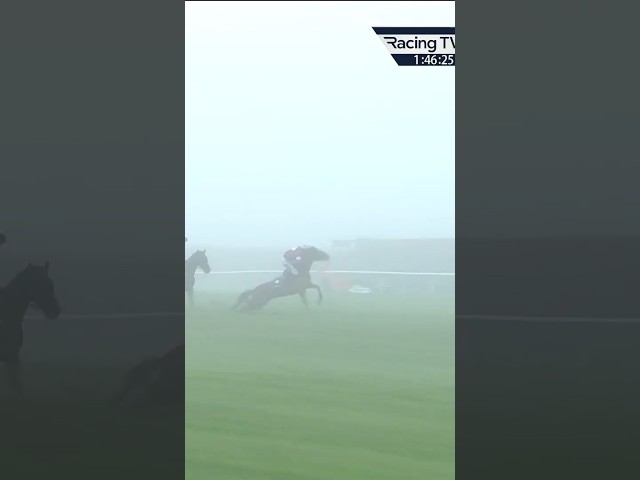 Thumbnail for Post ID: Hf25228wCAk