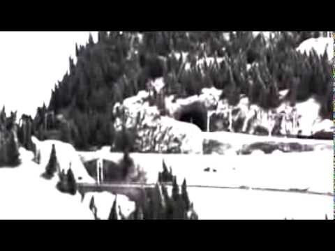 Beata Bartelik Has anybody seen my girl