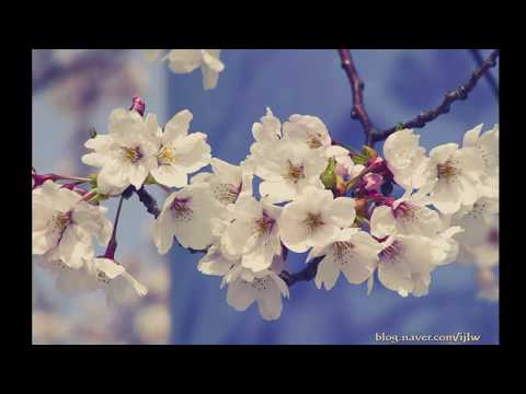 Anișoara Puică - Primăvară, bine ai venit!