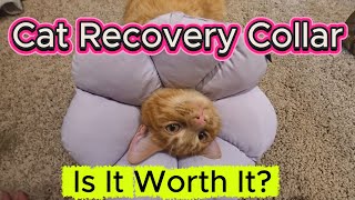 Waterproof Cat Cone Collar That Stays On Securely and Prevents Licking