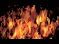 TERESA SALGUEIRO - A Fogueira 