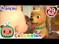 Bingo petit chien | CoComelon en Français | Chansons pour bébés