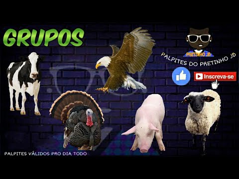 PALPITES JOGO DO BICHO 07/09/2020 RJ, LOOK, LOTEP, NACIONAL, FEDERAL, L-BR, BAHIA,LOTERIA DOS SONHOS