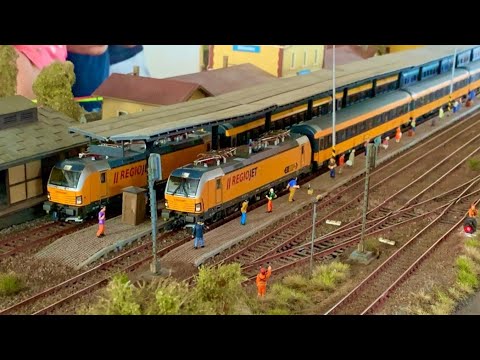 Slivenec 2024 - výstava MKMŽ Slivenec