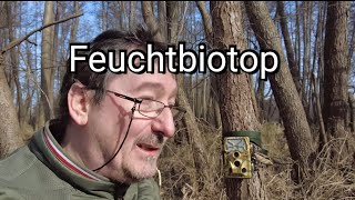 Wildkameras in Sumpf