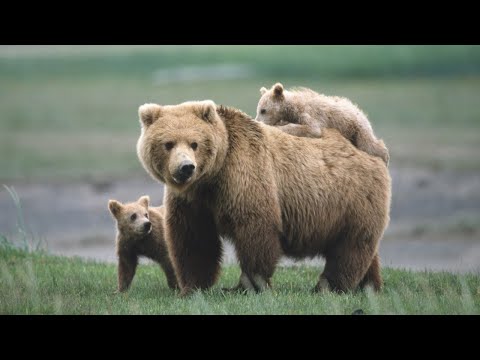 Quickly Editing a Burst of Photos