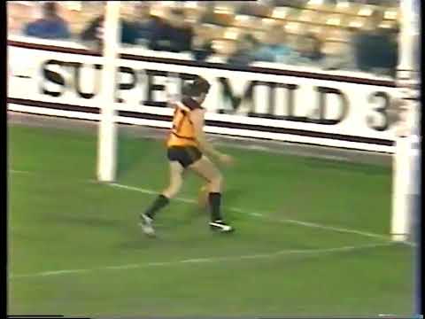 Round 9 1988 Essendon v Brisbane highlights