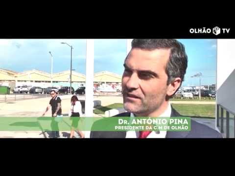 Jogos de Quelfes unem escolas pelo olimpismo