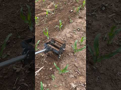 Amazing Farming Machine in Action 🚜💥 | JUST KD Agriculture | Part 276