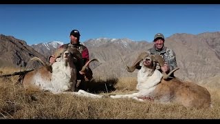 Magnum TV S6:E23 - Kyrgyzstan Part III: Marco Polo