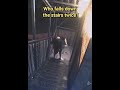 Who Falls Down The Stairs Twice