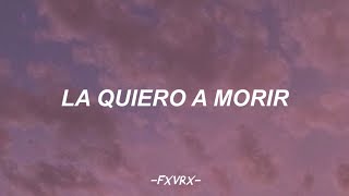 La quiero a morir | DLG🌻 | 𝐿𝑒𝓉𝓇𝒶