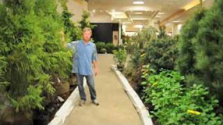 preview picture of video 'Bill Lose Traveling Plant Sale Mall St Matthews'