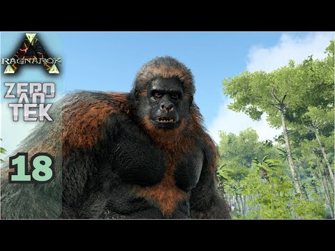 DOMAMOS UM GIGANTOPITHECUS - ZERO AO TEK - RAGNAROK - EP 18