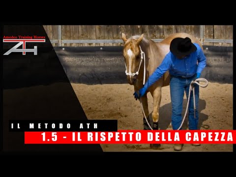 ATH METHOD - THE BASIC RESPECT - THE HALTER RESPECT