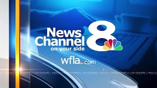 Manatee Arrest