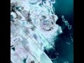 Bosse-De-Nage | Desuetude 