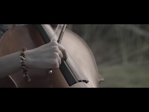 Shaman Jungle - Amazing (Live)