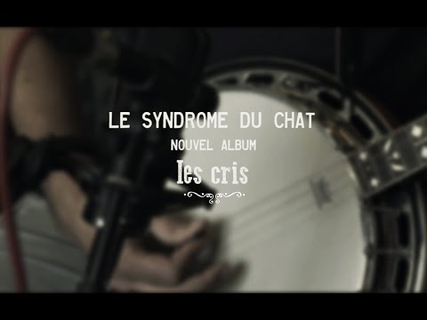 LE SYNDROME DU CHAT - Teaser Nouvel Album - LES CRIS