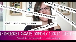 Download lagu ENTOMOLOGIST ANSWERS Commonly Googled Questions About Entomology and Entomologists mp3 Download lagu ENTOMOLOGIST ANSWERS Commonly Googled Questions About Entomology and Entomologists mp3