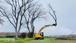 A 21-tonne Chainsaw Visited The Farm Last Week; Here's What It Got Up To..