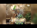 Diamond Platnumz ft Rayvanny Salome ( Traditional Official Audio )