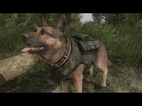 Tactical K-9 Unit - Modded Survival Day 6 - Fallout 4 Playthrough