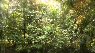 La Flûte de Pan/Pan et les nymphes（パンと妖精たち）