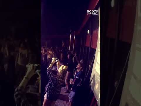 Melodub Sound System - Dub Camp Festival 2022 | #shorts