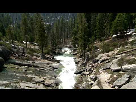 Psalm 1 Audiobook with Nature Sounds (Treasury of David by Spurgeon)