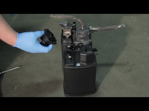 Intermotor™ EVAP Canister Replacement