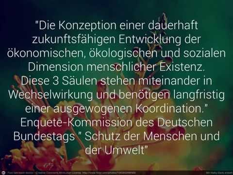 Die 4 Aspekte des LoHaS