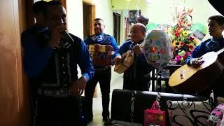 Video de Mariachi Ases de México