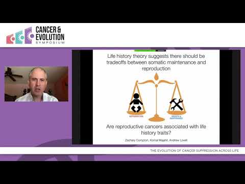 Carlo Maley - The Evolution of Cancer Suppression Across Life