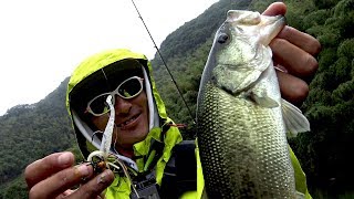 デラシリーズと赤パケで毎投HIT！水野浩聡の秋バス攻略法