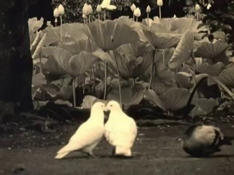 Tsuyoshi Yamamoto Trio - A Shade of Love