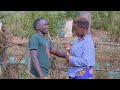 Sotet Official Video By Nefew Star Latest Kalenjin Song Sms Skiza 6980291 To 811