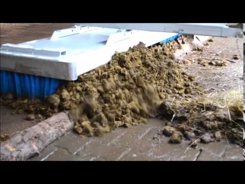 KehrMuli beim kehren auf der Reitanlage und im Paddock