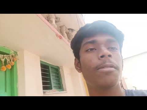 Juno is so innocent dog 🐕