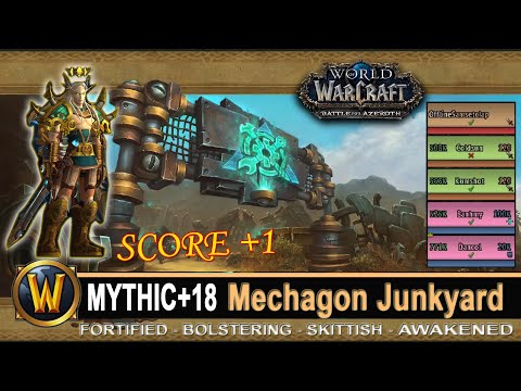 Mechagon Junkyard Mythic 18 Score +1 Fortified Bolstering Skittish Prot Pally