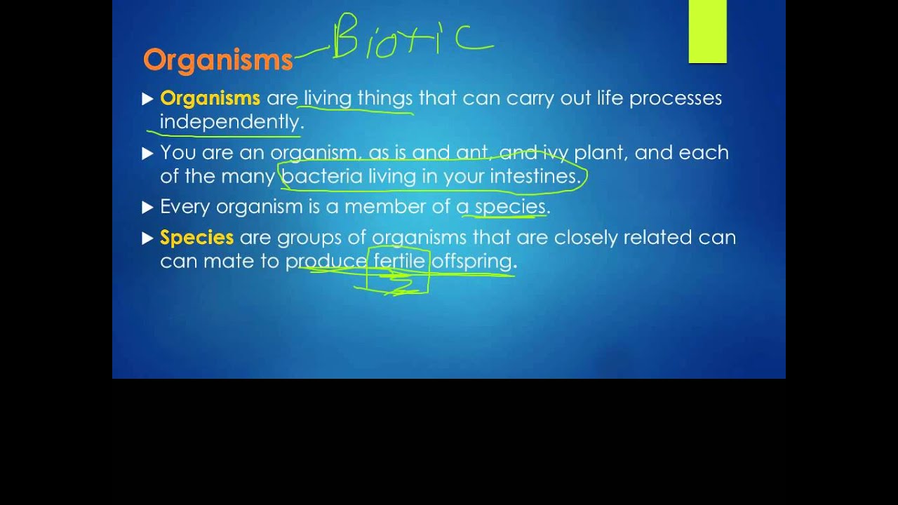 Unit 6 Lecture1: Ecosystems