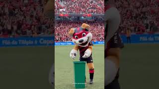 Mascote do Athletico provoca Coritiba após vitória no clássico #athleticoparanaense #futebol