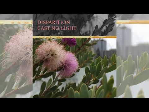 Disparition - Cast No Light (2020)