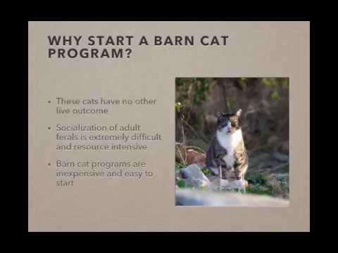How to Create a Successful Barn Cat Program - conference recording