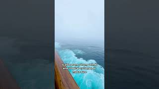 Things we wish we knew before our Australia and New Zealand cruise #cruise #shorts