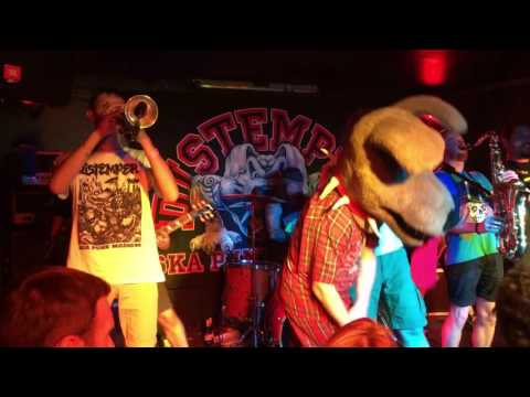 08.10.2016 Distemper