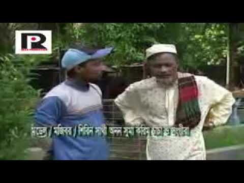 mojiborer sat bou foja